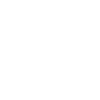 CSRD light Reporting