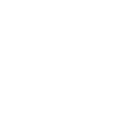 VSME plus Reporting